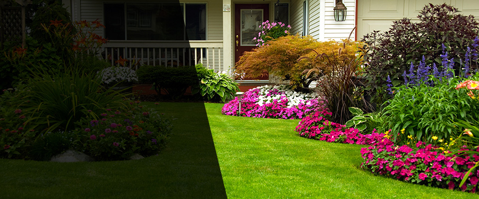 Paramus Landscapers